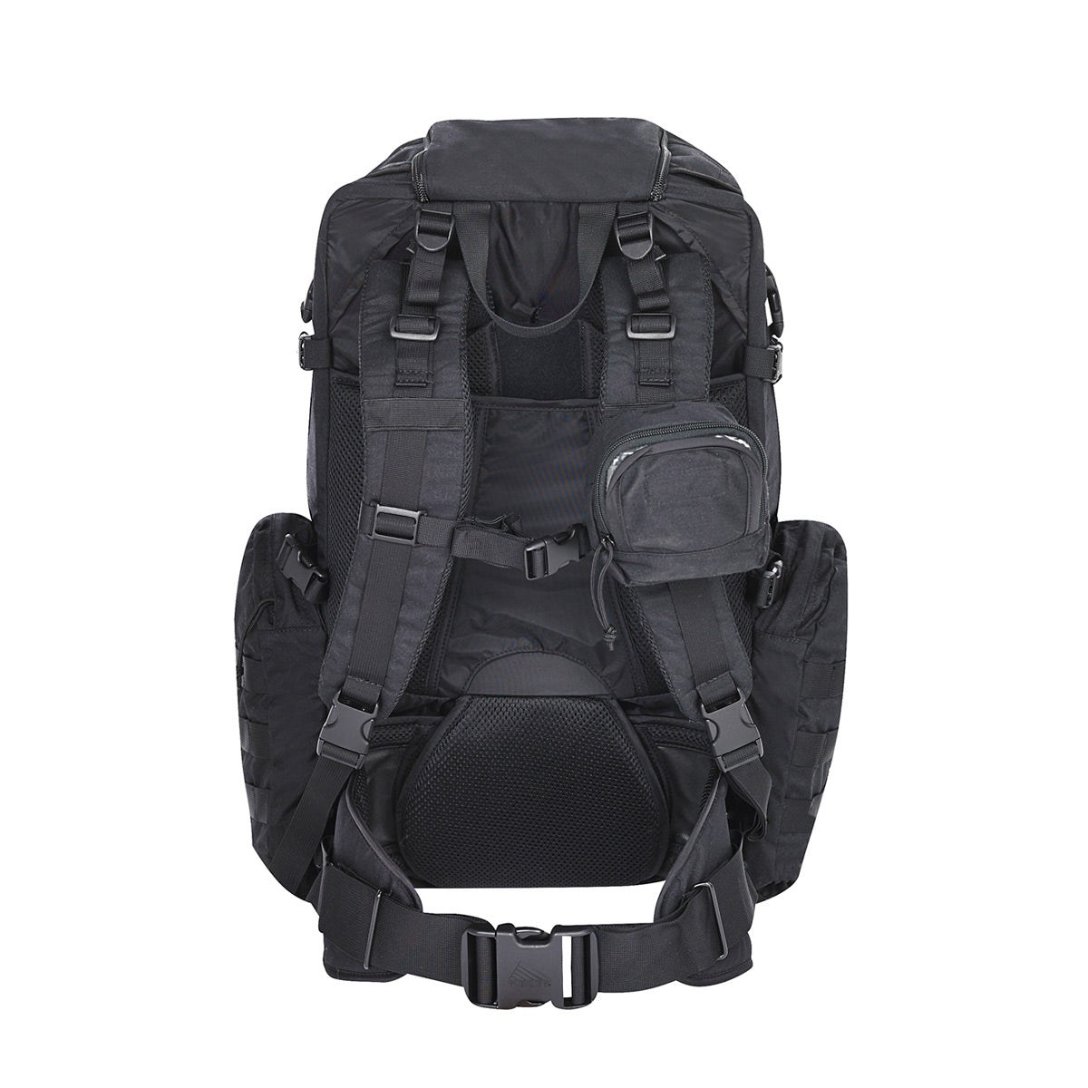 Raven 2500