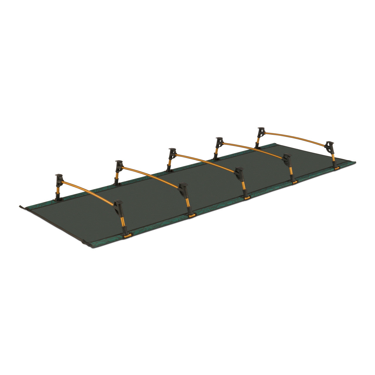 Lowdown Cot Fern