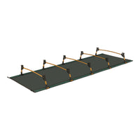 Lowdown Cot Fern