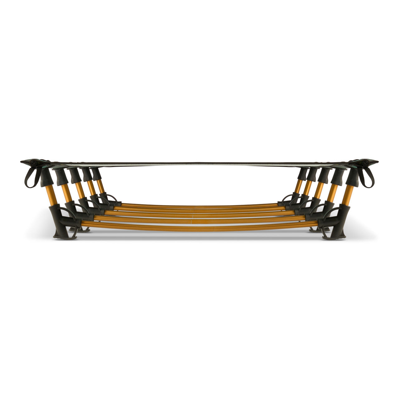 Lowdown Cot Fern