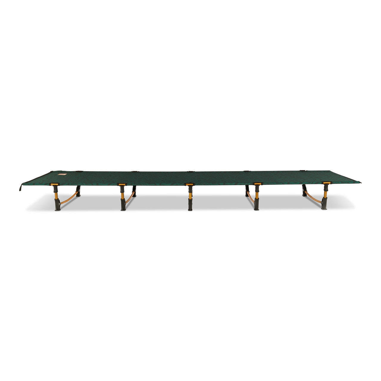 Lowdown Cot Fern