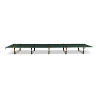 Lowdown Cot Fern
